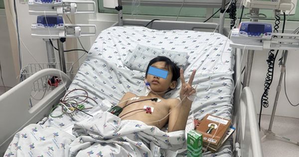 Bé trai 10 tuổi ở Bình Thuận bị đàn bò giẫm đạp khiến nội tạng tổn thương