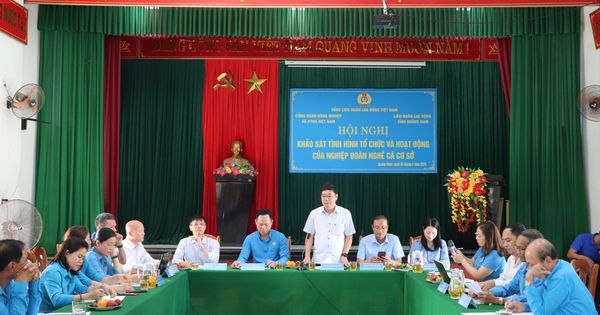Nhiều vướng mắc của các nghiệp đoàn nghề cá ở Quảng Nam
