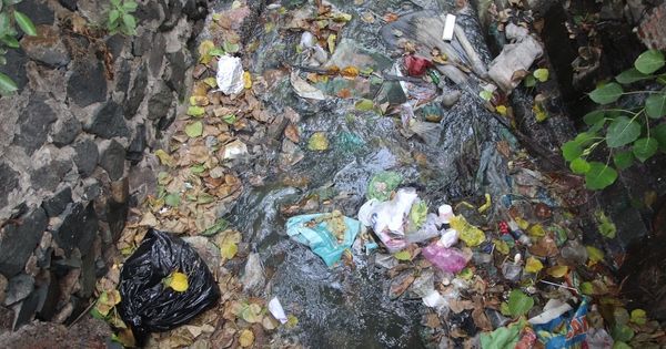 VIDEO: Kênh thoát nước sân bay Tân Sơn Nhất ngập ngụa rác