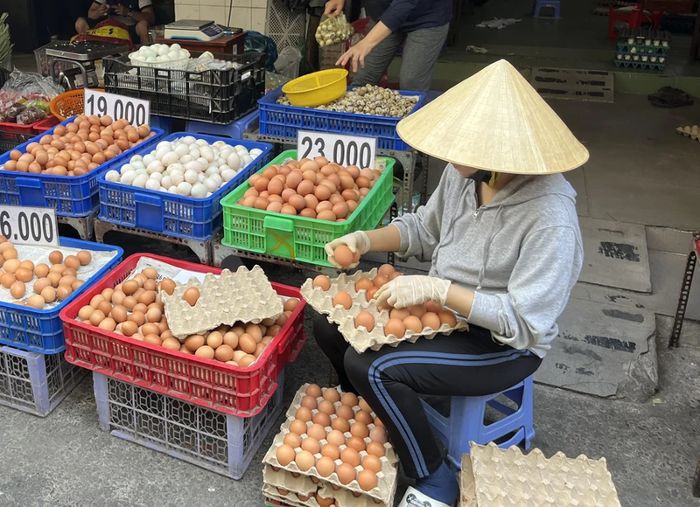 Trứng gà, trứng vịt giá rẻ bán tràn lan khó kiểm soát nguồn gốc