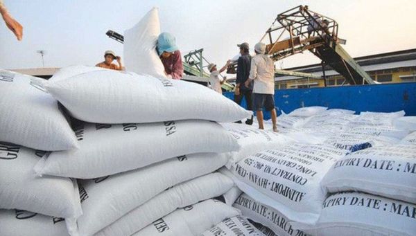 Tin tức kinh tế ngày 9/4: Xuất khẩu gạo thu về gần 1,4 tỷ USD