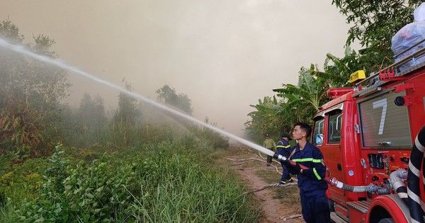 Clip: Đang cháy rừng ở Cà Mau