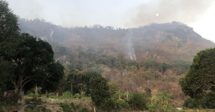Đã khống chế được cháy rừng ở An Giang