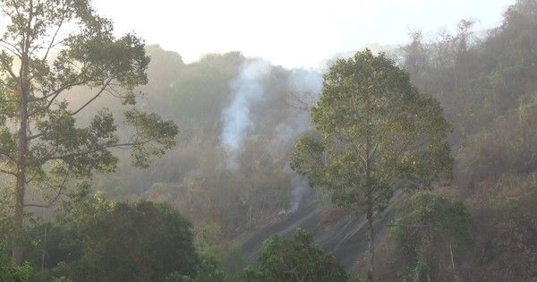 Hàng trăm người chữa cháy rừng trên núi Cô Tô