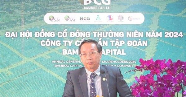 Chân dung tân Chủ tịch HĐQT người nước ngoài của Bamboo Capital