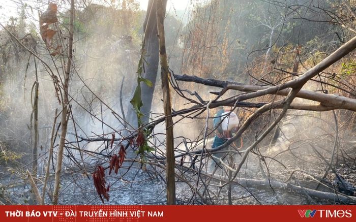 Huy động hơn 500 người chữa cháy rừng trên núi Cô Tô