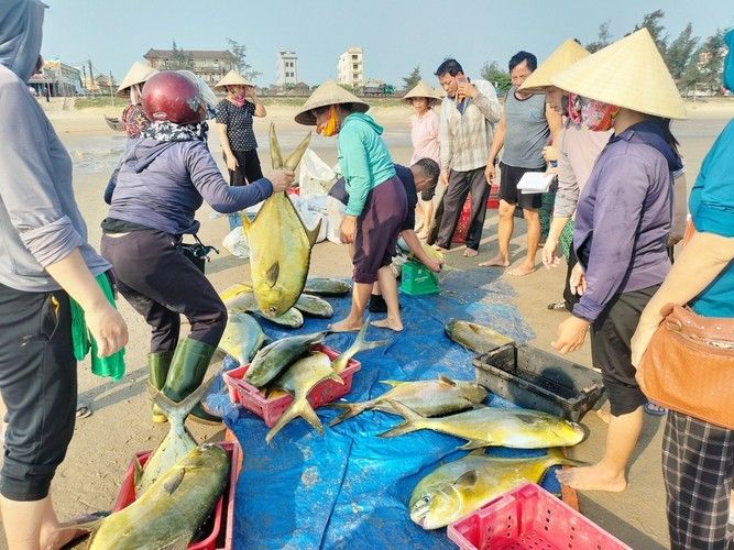 Trúng mẻ cá đặc sản, ngư dân Hà Tĩnh thu lợi hơn 300 triệu