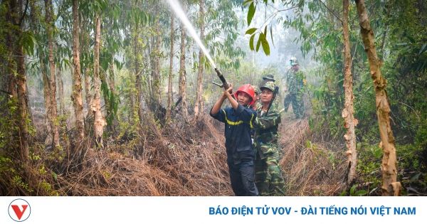 Kiên Giang: hơn 550 chiến sĩ tham gia chữa cháy rừng tại huyện Giang Thành