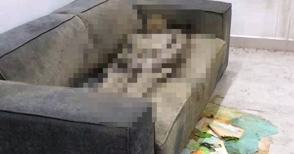 Lý giải vì sao lực lượng chức năng không tìm kiếm ‘cô gái tử vong trên sofa’ ở Hà Nội