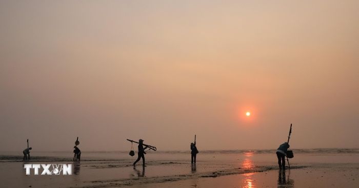 Nhịp sống thường nhật của người dân làng biển Nghệ An