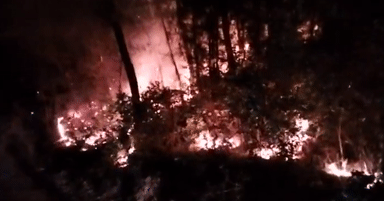 Cháy rừng tại 2 huyện ở Nghệ An: Xác định 4 người liên quan đốt thực bì