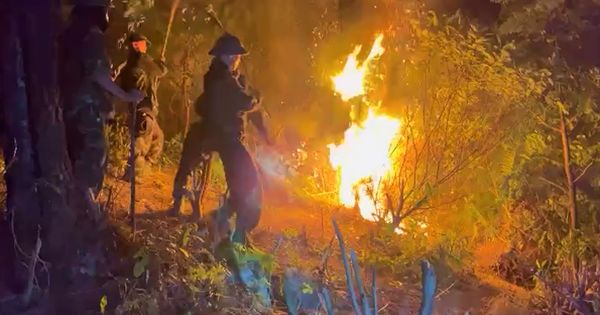 Nghệ An: Cháy rừng dữ dội trong đêm, sẵn sàng sơ tán dân