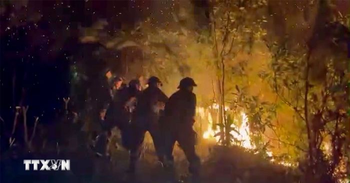 Nghệ An: Hàng trăm người căng mình dập lửa chữa cháy rừng trong đêm