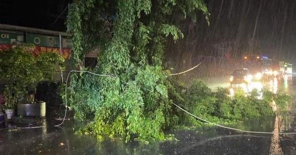 Video: CSGT Tuyên Quang và người dân xuyên đêm dầm mưa dọn dẹp cây đổ