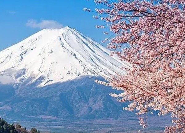 Vì sao thị trấn ở Nhật Bản dựng bức màn chắn khổng lồ gần núi Phú Sĩ?