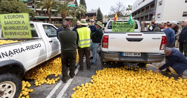 Tây Ban Nha vứt 400.000 tấn chanh vì ế ẩm