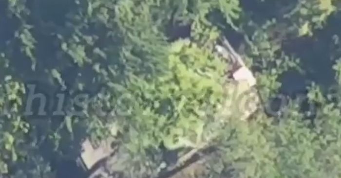 Video UAV Nga tấn công xe tăng Abrams Ukraine ngụy trang giữa rừng cây