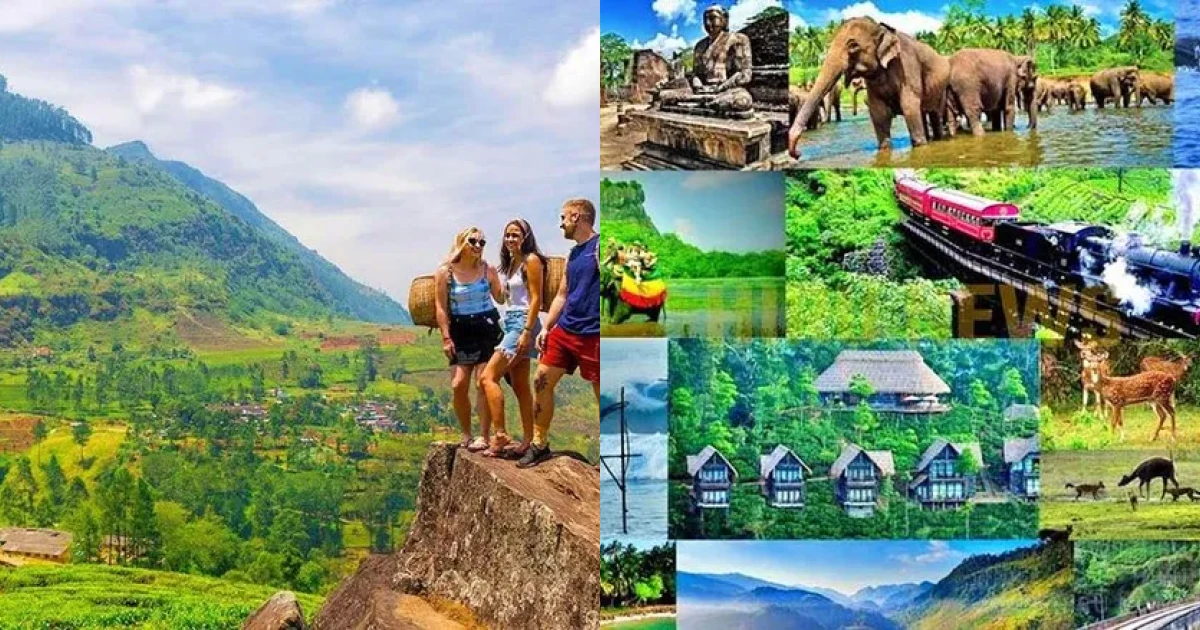 Sri Lanka thu hút du khách trải nghiệm vẻ đẹp ‘mùa Xanh’