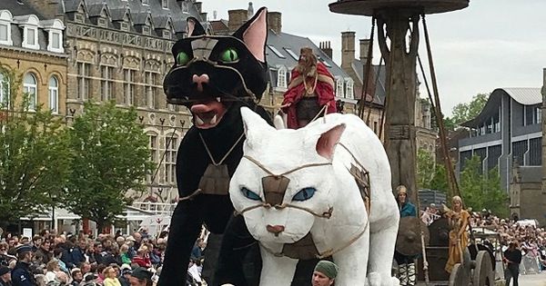 Độc đáo lễ hội rước mèo Kattenstoet