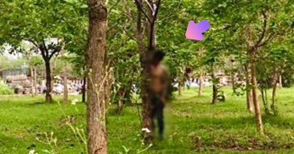 Hà Nội: Làm rõ vụ người đàn ông tử vong trong tư thế treo cổ tại khu vực vườn hoa gầm cầu Nhật Tân