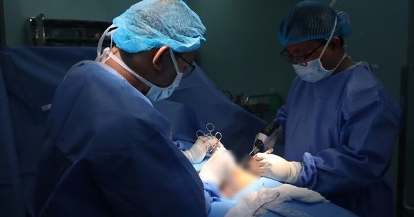 Chăm heo đẻ, một người đàn ông ở Bình Phước bị heo mẹ táp rách cơ quan sinh dục