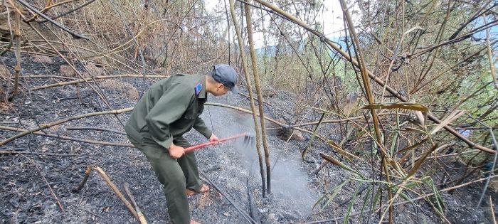 Đà Nẵng: Nhanh chóng dập tắt đám cháy rừng dưới chân núi Bà Nà
