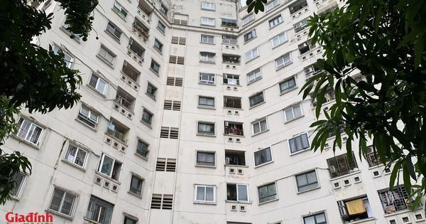 Hiện trạng khu chung cư ngõ 130 Đốc Ngữ vừa bị Hà Nội yêu cầu kiểm tra