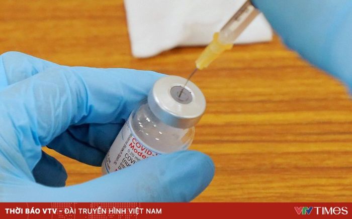 Moderna Nhật Bản đặt mục tiêu thử nghiệm vaccine ngừa COVID-19 và cúm vào mùa Đông 2024
