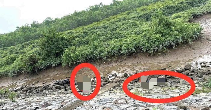 Phát hiện 2 nam thanh niên tử vong dưới chân đê ở Hà Tĩnh
