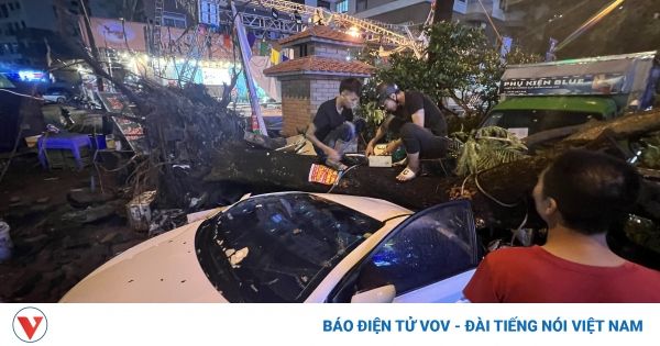 Mưa dông tại Hà Nội làm hàng loạt cây đổ đè nát xe ô tô