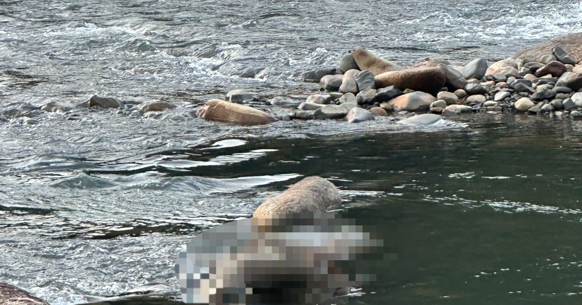 Lâm Đồng: Phát hiện thi thể trôi trên sông Đạ Huoai